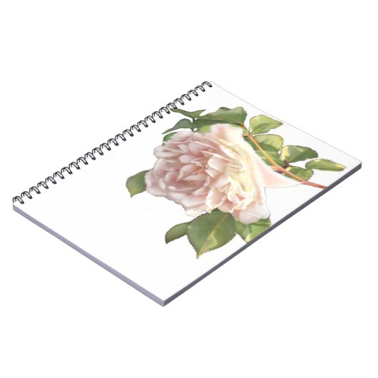 Elegante stoffige perzikkleurige oranje witte bloe notitieboek (Linkerzijde)