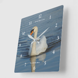 Elegante Stomme Zwaan Watervogel op het Meer Vierkante Klok