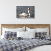 Elegante stomme zwanen bij Stanley Park Lagoon Canvas Afdruk (Insitu (Slaapkamer))