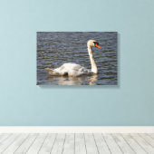 Elegante stomme zwanen bij Stanley Park Lagoon Canvas Afdruk (Insitu (Houten vloer))