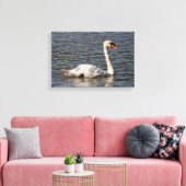 Elegante stomme zwanen bij Stanley Park Lagoon Canvas Afdruk (Insitu (Woonkamer))