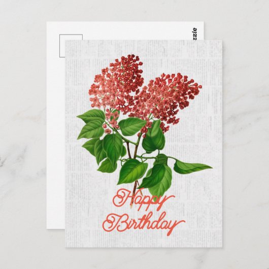 Elegante  Syringa Vulgaris Bloemenverjaardag Briefkaart (Voorkant / Achterkant)