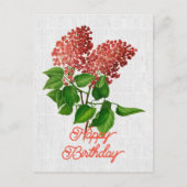 Elegante  Syringa Vulgaris Bloemenverjaardag Briefkaart (Voorkant)