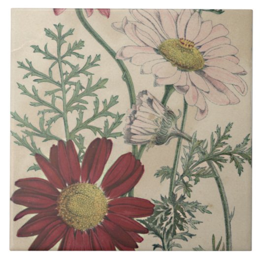  elegante tegel tegeltje (Voorkant)