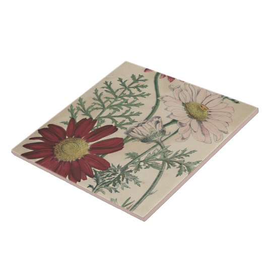  elegante tegel tegeltje (Zijkant)