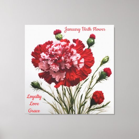 Elegante & tijdloze januari Geboorte Bloem Anjer Canvas Afdruk (Voorkant)