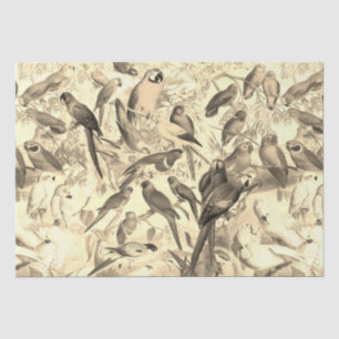 Elegante Tropische Vogelpapegaaien Beige Tissuepapier