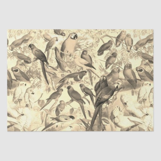 Elegante  Tropische Vogelpapegaaien Beige Tissuepapier (Voorkant)