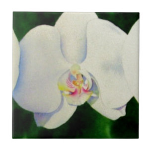 Elegante tropische witte aquarel orchidee schilder tegeltje