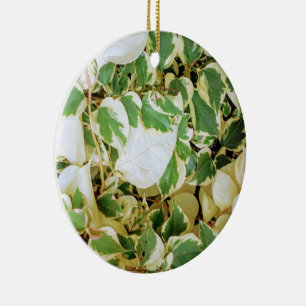 Elegante Tuin Landelijk  Keramisch Ornament