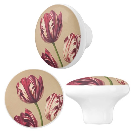 Elegante  Tulip Art Floral Botanical Keramische Knop