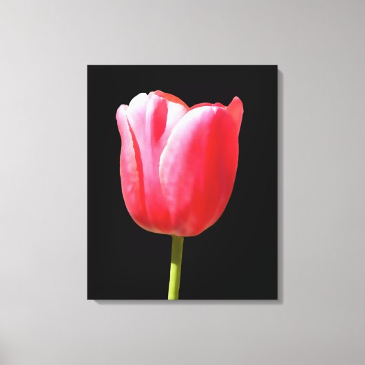 Elegante Tulp Bloei Canvas Afdruk (Voorkant)