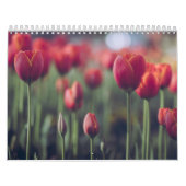 Elegante Tulp en Roos Bloemen Fotografie Kalender (Hoes)