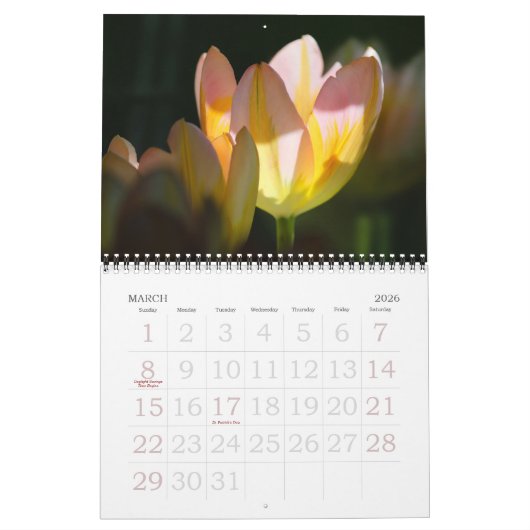 Elegante Tulp en Roos Bloemen Fotografie Kalender (Mar 2026)