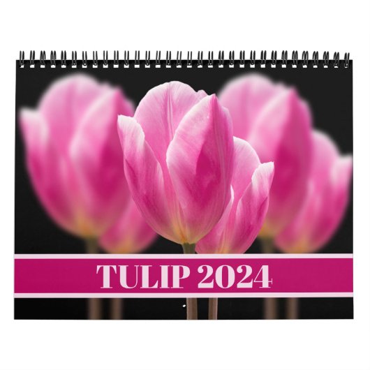 Elegante Tulp en Roos Bloemen Fotografie Kalender (Hoes)