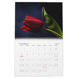 Elegante Tulp en Roos Bloemen Fotografie Kalender