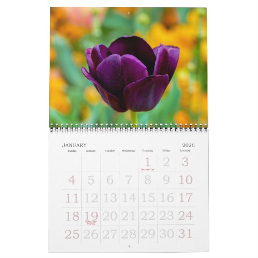 Elegante Tulp en Roos Bloemen Fotografie Kalender (Jan 2026)