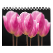 Elegante Tulp en Roos Bloemen Fotografie Kalender (Hoes)
