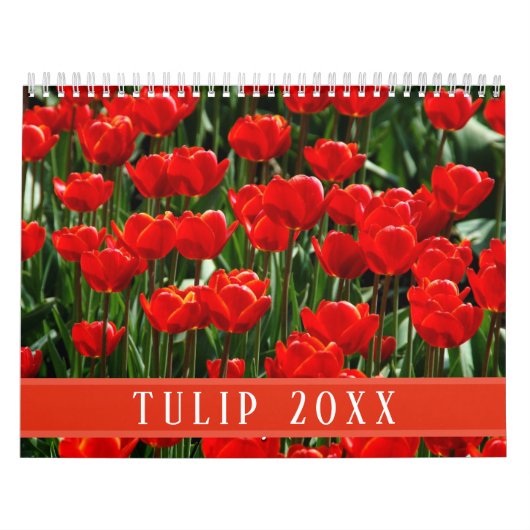 Elegante Tulp en Roos Bloemen Fotografie Kalender (Hoes)