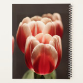 Elegante Tulp en Roos Bloemen Fotografie Planner (Achterkant)