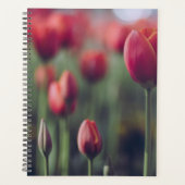 Elegante Tulp en Roos Bloemen Fotografie Planner (Voorkant)