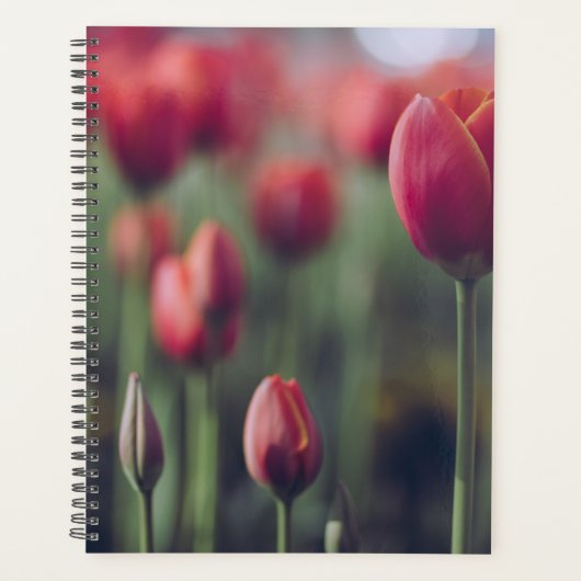 Elegante Tulp en Roos Bloemen Fotografie Planner (Voorkant)
