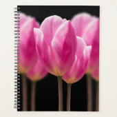 Elegante Tulp en Roos Bloemen Fotografie Planner (Voorkant)