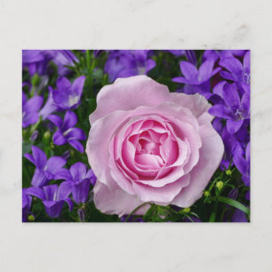 Elegante Tulp en Roos Bloemige Bloemen Fotografie Briefkaart