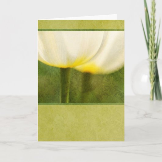 Elegante tulpen kaart (Voorkant)