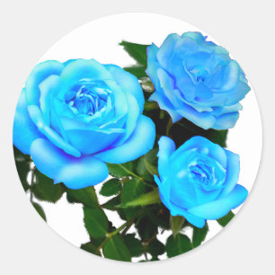 Elegante turquoise blauwe rozen blauwe bloemen blo ronde sticker