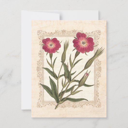 Elegante verjaardagsfeest van 50 jaar voor een dam kaart (Voorkant)