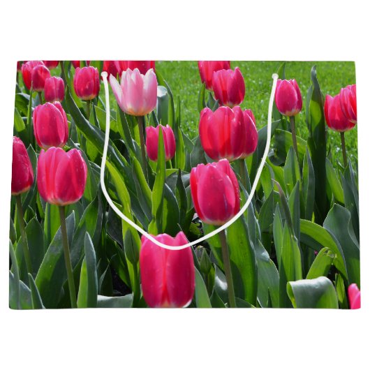 , elegante verse bloemen van de roze lentroze tulp large cadeautasje (Voorkant)