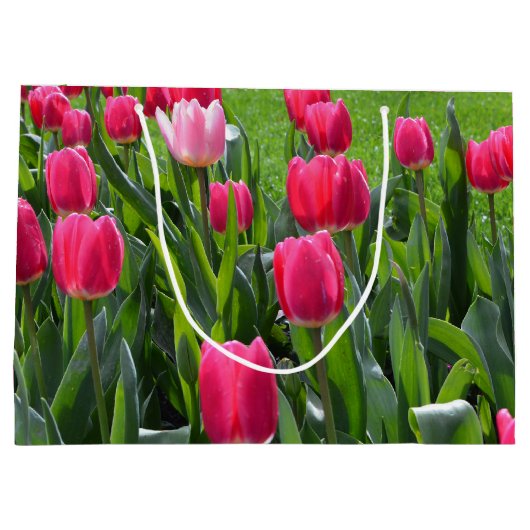 , elegante verse bloemen van de roze lentroze tulp large cadeautasje (Achterkant)