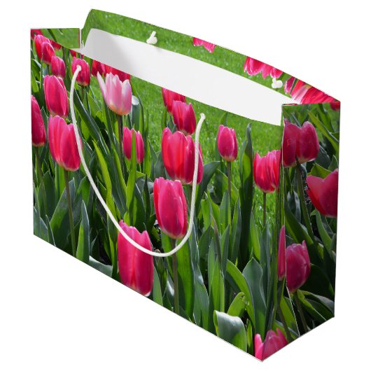 , elegante verse bloemen van de roze lentroze tulp large cadeautasje (Achterkant Gekanteld)