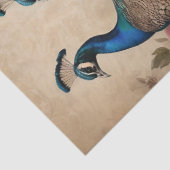 Elegante Victoriaanse Vintage Boho Pauw Tissuepapier (Detail)
