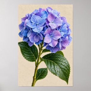 Elegante Vintage Blauwe Hortensia Bloemstuk Muurku Poster