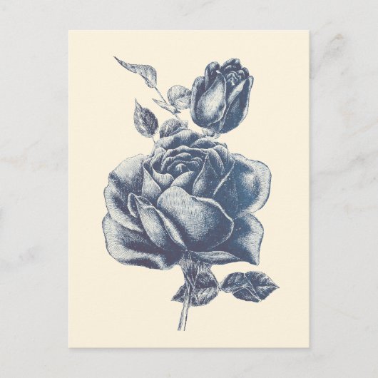 Elegante vintage blauwe roos briefkaart (Voorkant)