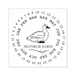 Elegante Vintage Boerderij Eendenei Karton Stempel
