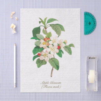 Elegante Vintage Botanische Appelbloesem Tissuepapier