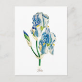 Elegante Vintage Botanische Blauwe Iris Bloem Briefkaart (Voorkant)