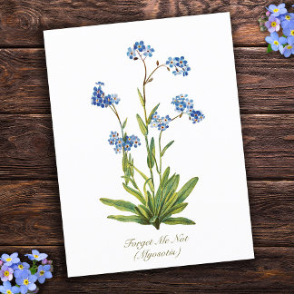 Elegante Vintage Botanische Bloem Vergeet-mij-niet Briefkaart