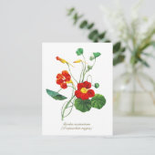 Elegante Vintage Botanische Bloemen Oostindische K Briefkaart (Staand voorkant)