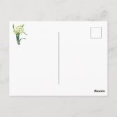 Elegante Vintage Botanische Bloemen Witte Narcisse Briefkaart (Achterkant)