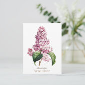 Elegante Vintage Botanische Paarse Seringbloesem Briefkaart (Staand voorkant)