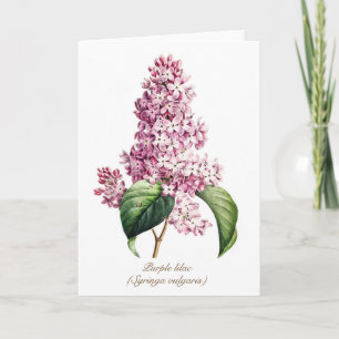 Elegante Vintage Botanische Paarse Seringbloesem Feestdagen Kaart