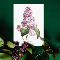 Elegante Vintage Botanische Paarse Seringbloesem