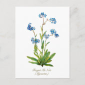 Elegante Vintage Botanische Verget Mij Niet Bloem Briefkaart (Voorkant)