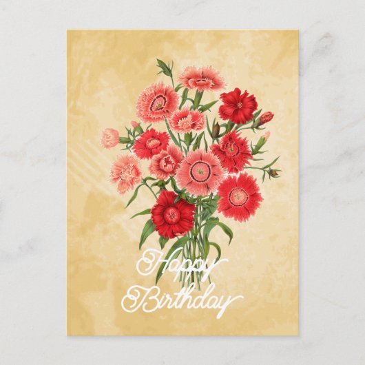 Elegante Vintage Dianthus Chinensis Bloem Verjaard Briefkaart (Voorkant)