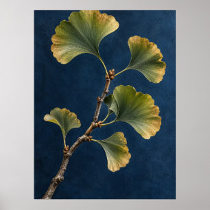 Elegante Vintage Ginkgo Biloba Botanische Wandkuns Poster