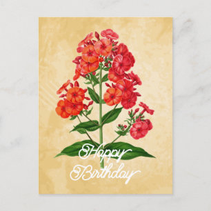 Elegante Vintage Hybride Phlox Bloem Gelukkig Verj Briefkaart